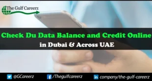 Check Du Data Balance and Credit Online